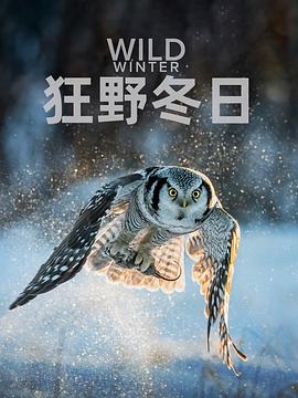狂野冬日第一季