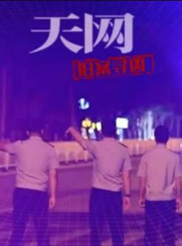 天网：旧案寻凶