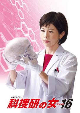科搜研之女第16季